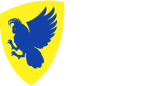 Volleyball Act Logo