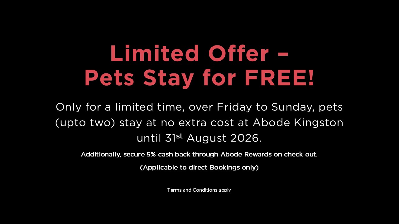 Kin Pets Stay Free