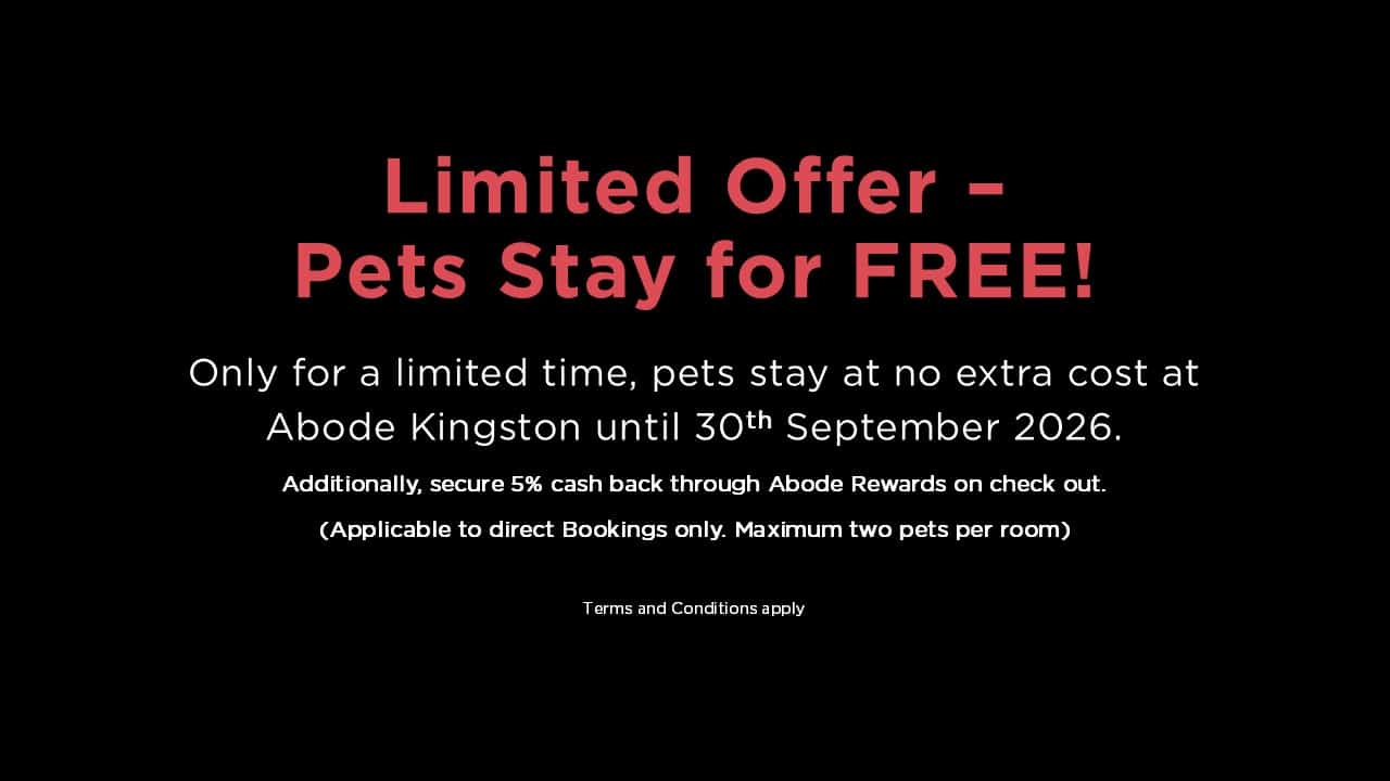Kin Pet Stay Free Till Sept End