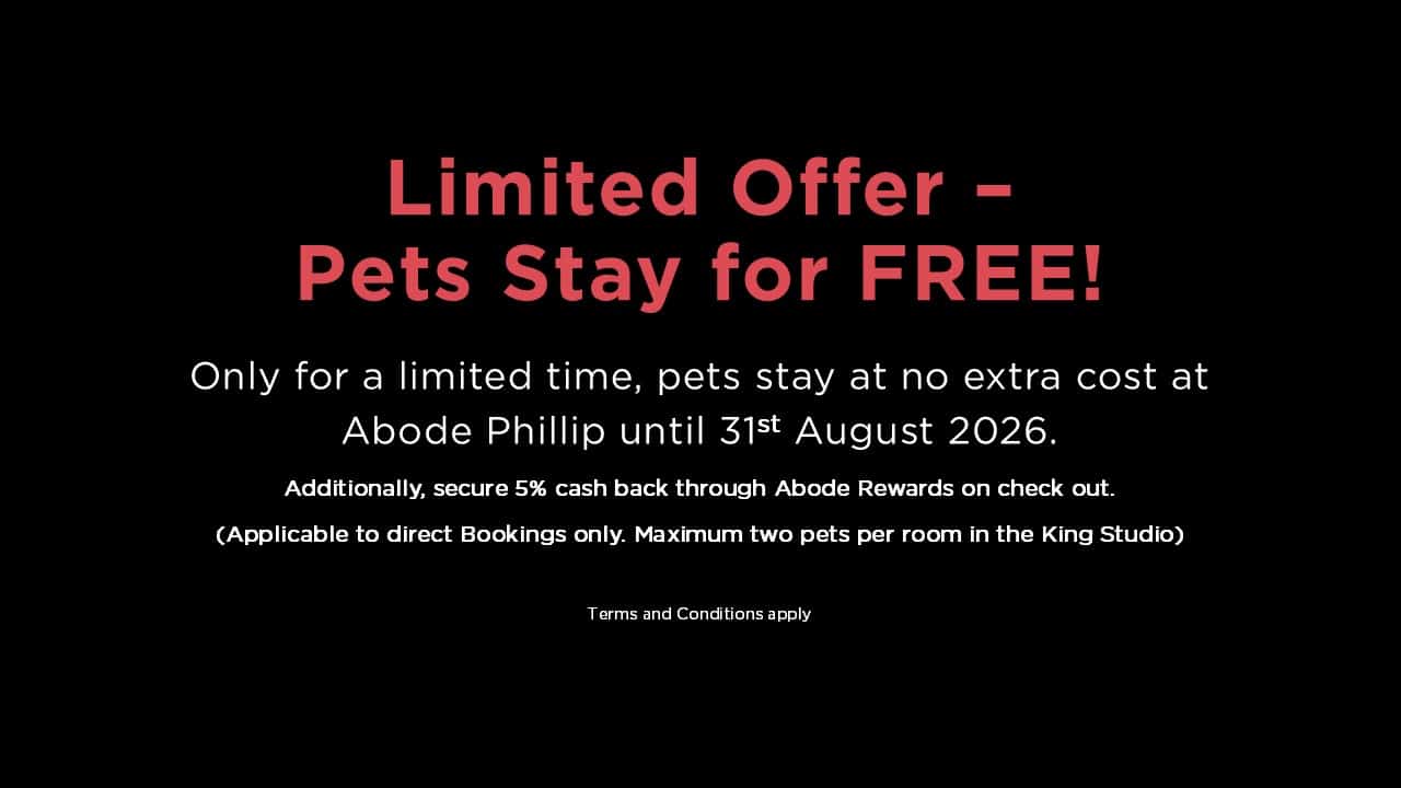 Phi Pet Stay Free End Aug