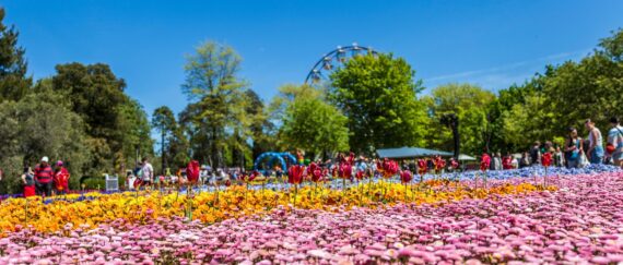 Floriade Package