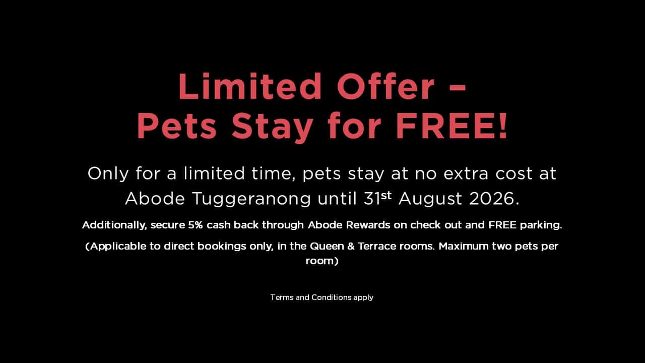 Tgg Pet Stay Free 